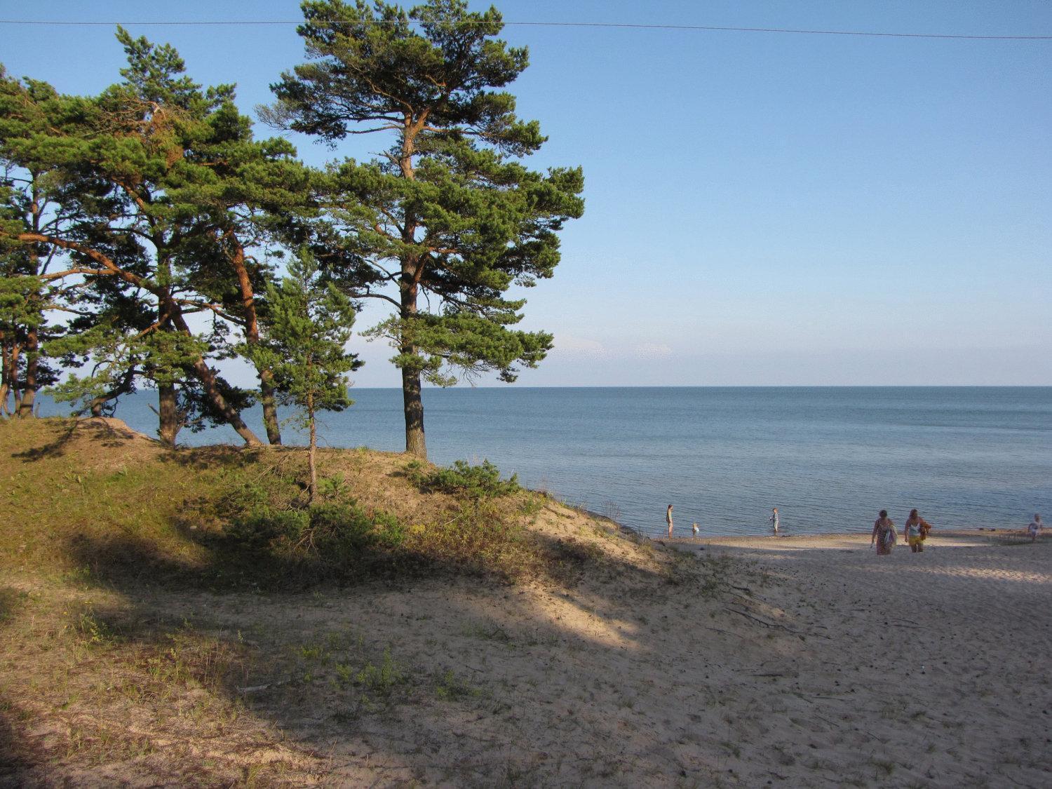 Mandjala Puhketalu - Cottages Exteriör bild