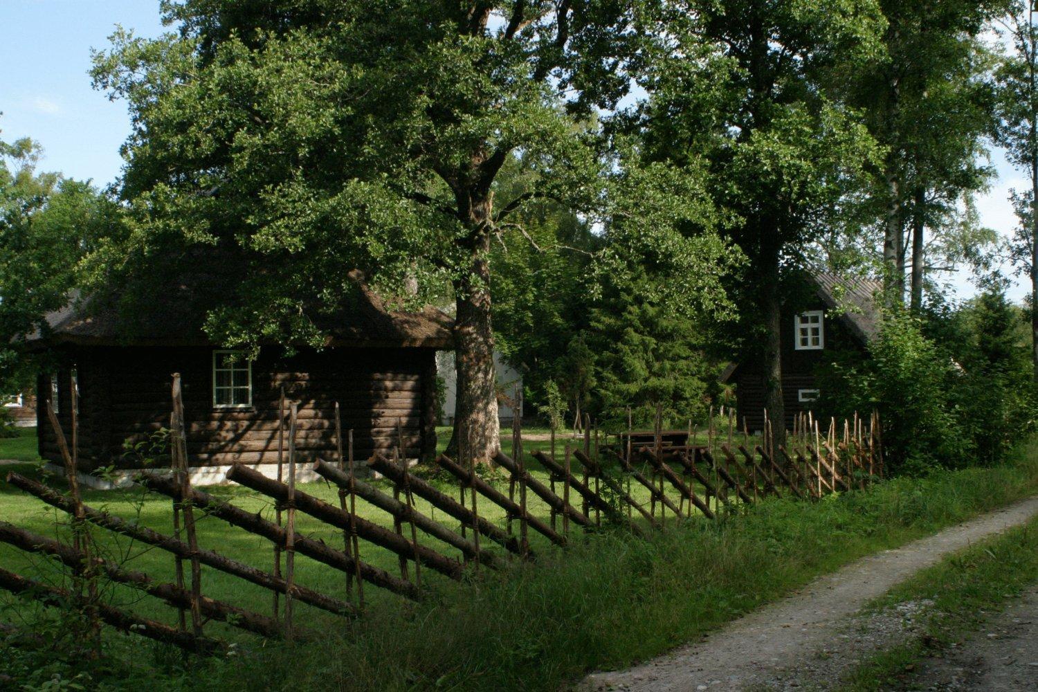 Mandjala Puhketalu - Cottages Exteriör bild